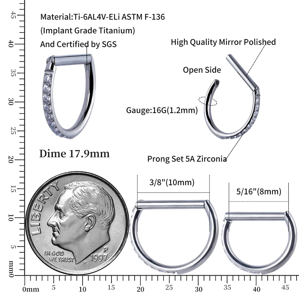 1PC D 모양 G23 솔리드 티타늄 연골 세그먼트 링 - Septum Clicker Ring 리뷰 및 가격
