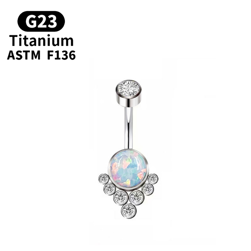 G23 티타늄 피어싱 티타늄 등급 임플란트 지르코니아  - Body Jewelry Implant Grade 리뷰 및 가격