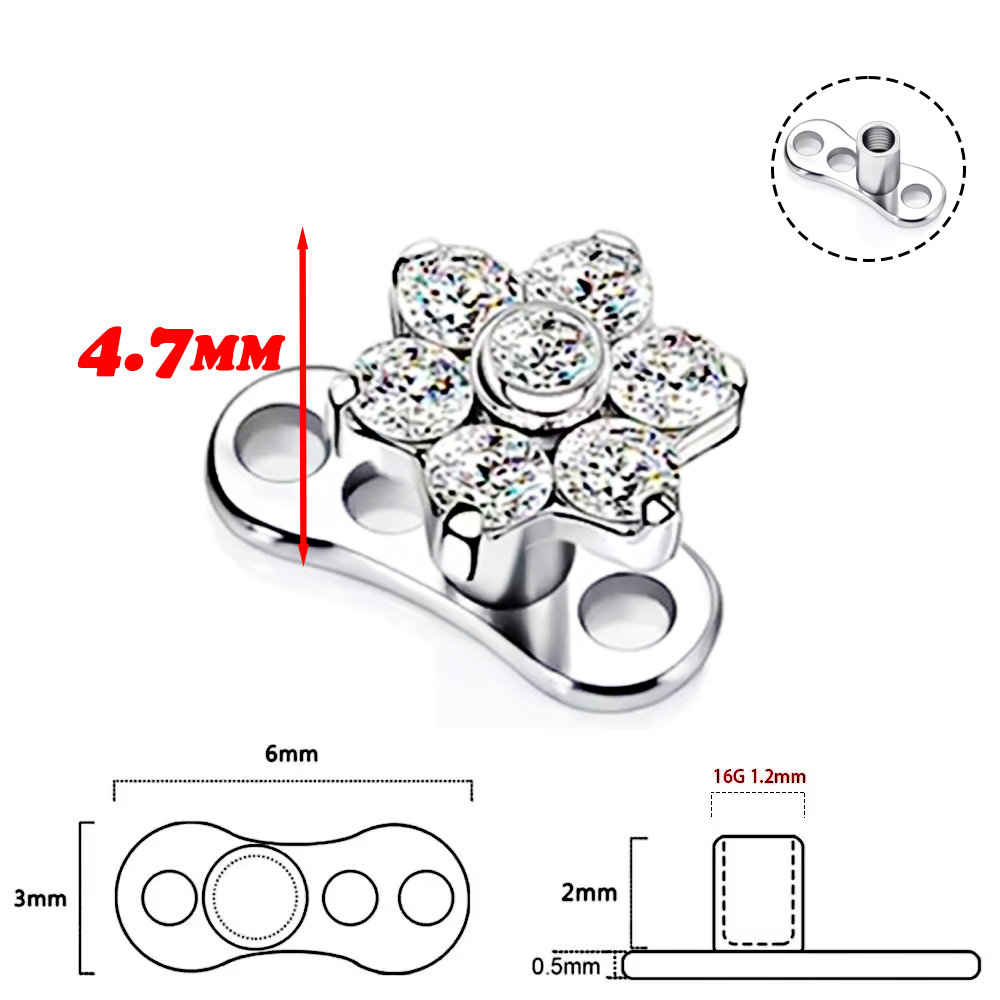 F136 티타늄 합금 고품질 임플란트 등급 지르코니아  - Body Jewelry Implant Grade 리뷰 및 가격