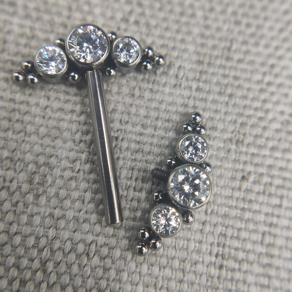 14G 임플란트 등급 티타늄 ASTM F136 내부 스 - Body Jewelry Implant Grade 리뷰 및 가격